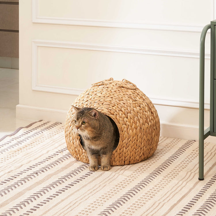 Betty Water Hyacinth Woven Wicker Round Pet Bed with Handles