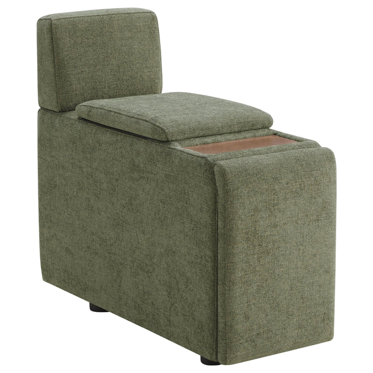 Console de stockage fonctionnelle Delaney Power